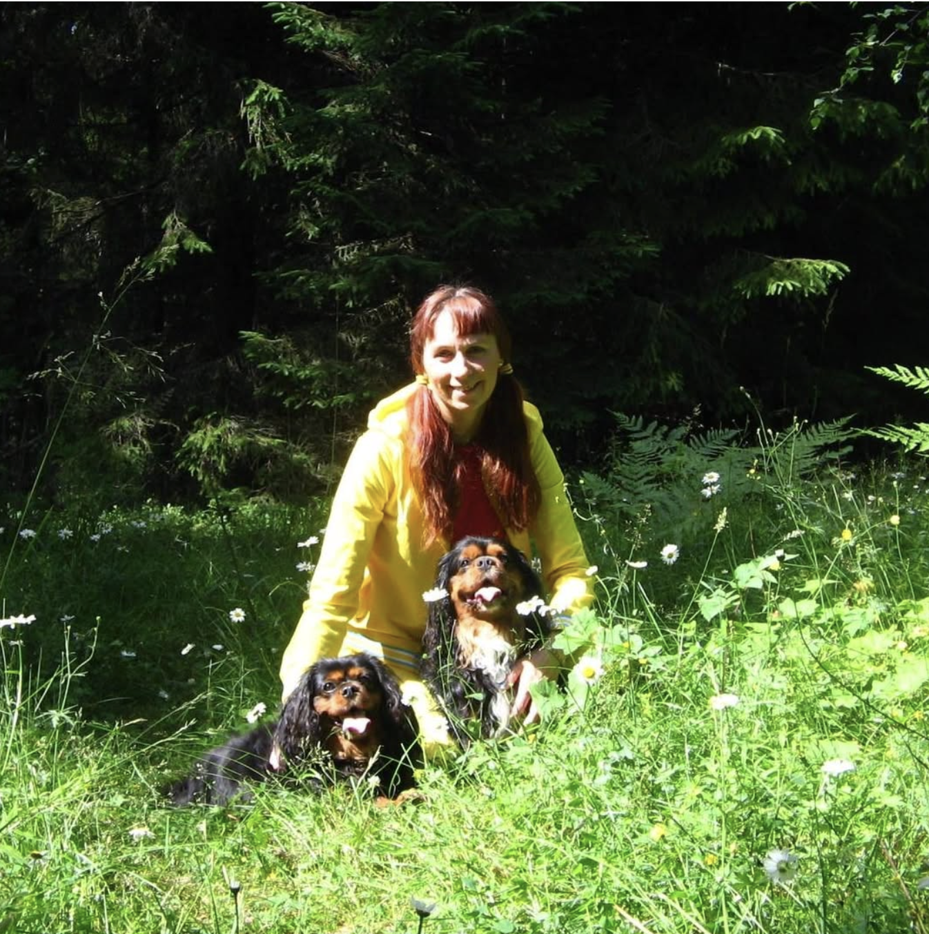 Skilsmissehunder ga idé til feelgoodroman