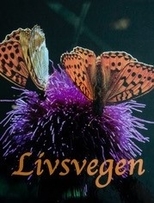 Gir ut dikt- og fotobok