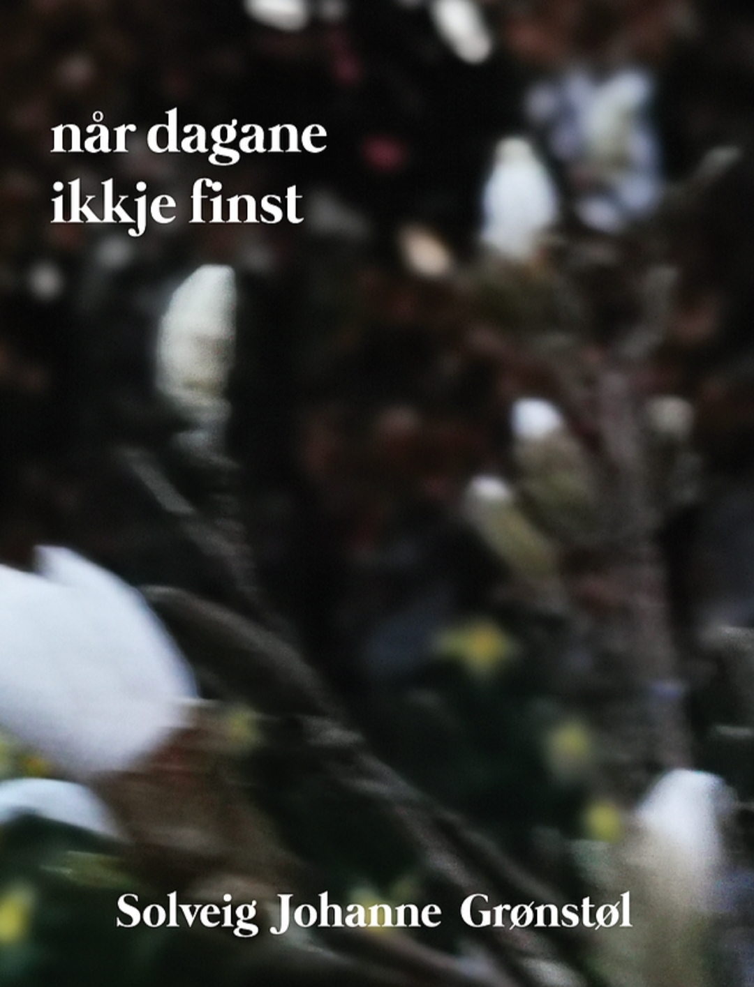 I prosessen var Forfatterskolen til stor hjelp!